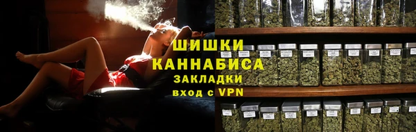 дживик Бронницы