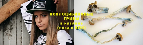 PSILOCYBIN Володарск