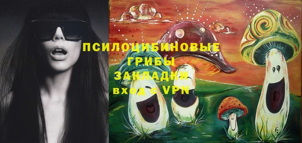 соль ск Волосово