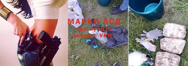 соль ск Волосово
