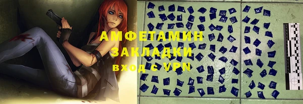 дживик Бронницы